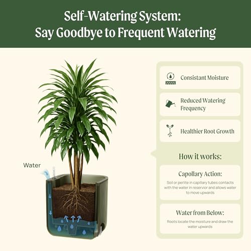 Vego garden Tomato Planter Box with Trellis Self-Watering Rolling Raised Garden Bed for Climbing Vegetables Plants Cage - Sage Green