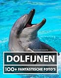 Dolfijnen Foto's - Fotoboek - Mooie Grote Collectie: 100+ Geweldige Afbeeldingen - Voor Kinderen En Volwassenen
