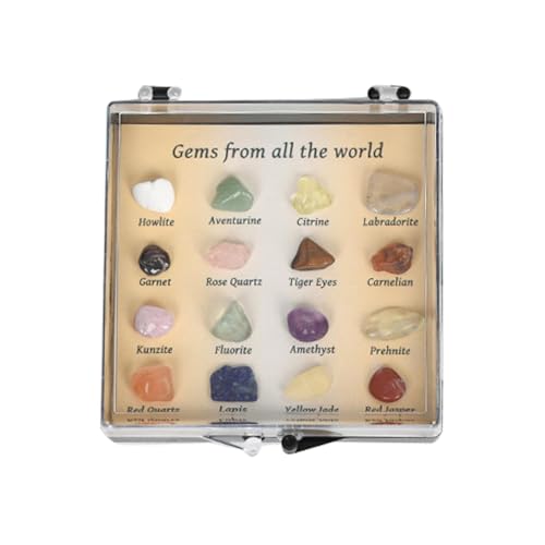 y minerales, kit de piedras preciosas naturales crudas | Gran colección surtida con guía de identificación, especímenes de mixto con piedras pulidas para aprendizaje educativo, proyectos