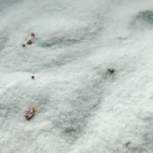 Exfoliantes Y Mascarillas, Drugstore Imagen adicional