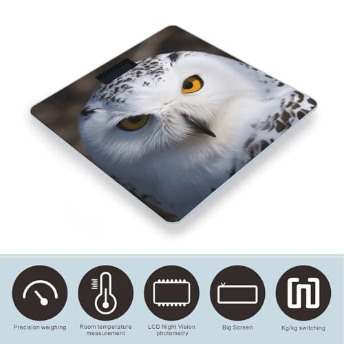 Báscula digital de baño BWQJKUO con diseño de búho miniatura 3