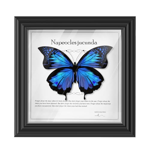 6x6 Small Shadow Box Frame with Glass, Display Size 5.5x5.5