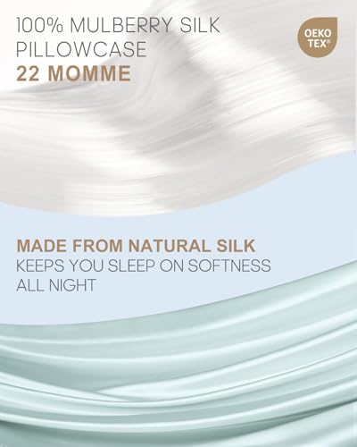 Image of THXSILK Set of 2 100% Mulberry Silk Pillowcase for Hair and Skin Health, 22 Momme Soft and Smooth Pillowcases with Hidden Zipper, Both Sides Premium Grade 6A+ Silk, Standard 20 inchx26 inch, Light Blue