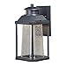 VAXCEL Freeport Aluminum 1 Light LED Dusk to Dawn Black Outdoor Wall Lantern Clear Glass
