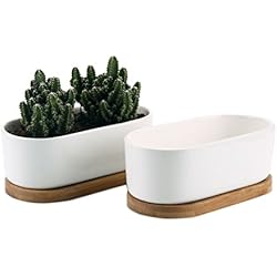 Maceteros Blancos Bajos T4u Conjunto de 2 Diseño Moderno Oval Blanco de cerámica Cerámicos Planta Maceta Suculento Cactus Planta Maceta Planta Contenedor Vivero Maceta Macetas de jardín Macetas Envase
