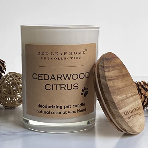 Red Leaf Home | Cedarwood Citrus Pet Deodorizing Jar Candle | Large | Gift, Perfect For Dog & Cat Owners | Contains Deoboost | 15.5Oz #TOP2