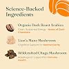 Four Sigmatic Organic Focus Mushroom Ground Coffee | Dark Roast, Organic Coffee with Lion's Mane & Chaga Mushroom for Mental Clarity & Energy Support | 12oz Bag