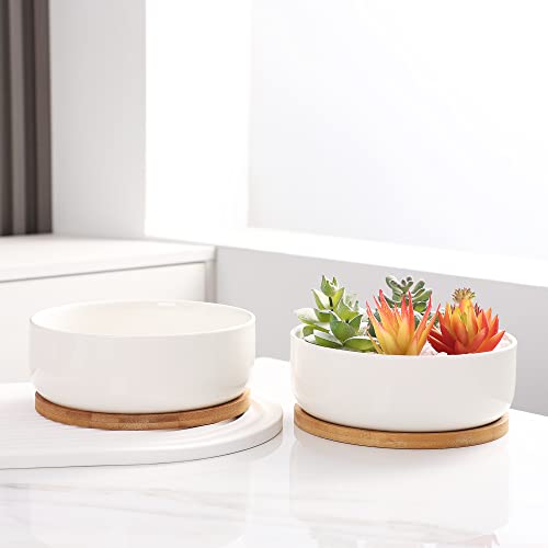 Fengson 6 Inch White Ceramic Flower Planter Pot With Bamboo Tray,Succulent Cactus Pots With Drainage,Round Shallow Planter Bowl For Plants,Pack Of 2 #TOP3