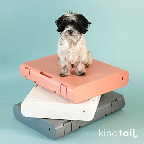 PAWD Fully Collapsible Dog Crate, Stylish Portable Dog Crate for Pet Travel, Dog Kennel for Small Dog or Cat, Small… - Image 8