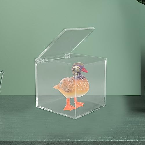Image of SEWACC Acrylic Storage Box with Lid Clear Square Display Case Organizer for Figurines Collectibles Makeup Accessories Desk Storage 3.15 Inch