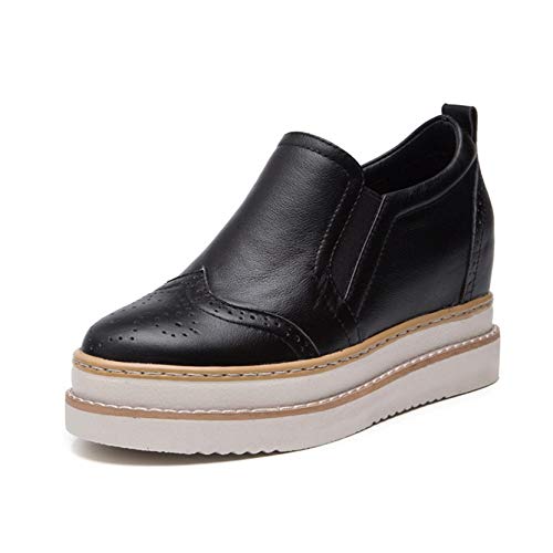 [XYJP] Xb| [t@[  fB[X C 22.0cm  h r vbgtH[  JWAV[Y C wC r RtH[g wC IV ʋ ʊw ₷ ₷ H ~