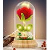 Preserved Rose Gifts for Women, Red Crochet Rose in Glass Dome with LED Lights, Beauty and The Beast Enchanted Rose Gifts for Her Mom Mother’s Day Valentine’s Day Anniversary Birthday Gifts