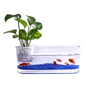 ZHANGJINYISHOP2016 Vis Tank Creatief Glas Transparant Glas Vis Tank Hydrocultuur Vaas Kantoor Desktop Decoratie Kleine…