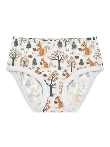 ZZKKO Forest Squirrels Pine Cones Girls Underwear Toddler Panties for Girls Comfort Brief Size 2T