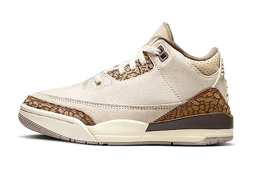Jordan Boy's 3 Retro (Little Kid) Light Orewood Brown/Metallic Gold/Light British 12 Little Kid M