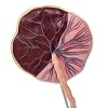 Axis Scientific Placenta Model with Removable Umbilical Cord Anatomical Model - Birthing Anatomy Model, Placenta Umbilical Cord Anatomical Model, Education for Medical School