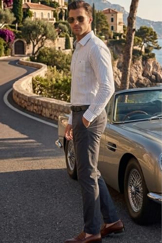 Image of Louis Philippe Men's Slim Fit Signature Oxford Easy Care, Natural Stretch Full Sleeve Stripe Casual Shirt