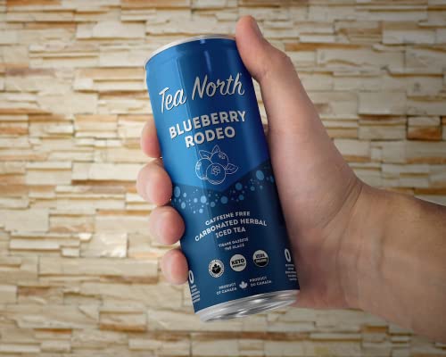 Tea North Keto Carbonated Iced Tea - No Caffeine, Sugar, Sweeteners, Or Calories - Natural Clean Energy Drink - Gluten-Free, Paleo & Diabetic-Friendly - Healthy, Organic & Refreshing Sparkling Beverage - 12 Oz (Pack Of 12) - Blueberry Rodeo #TOP5