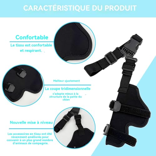 Manchon de jambe arrière pour chien protection articulation blessure - 5