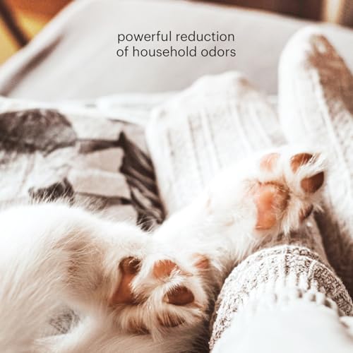 True HEPA Air Purifier for Allergies