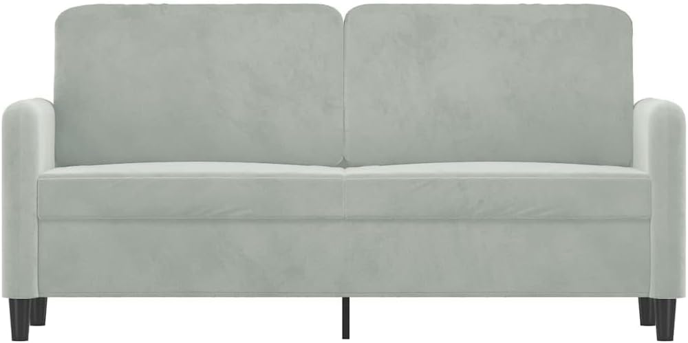 2-Seater Sofa Light Grey Velvet (100% Polyester) Living Room Furniture