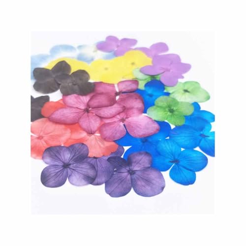 24 flores secas de hortensia para manualidades DIY miniatura 3