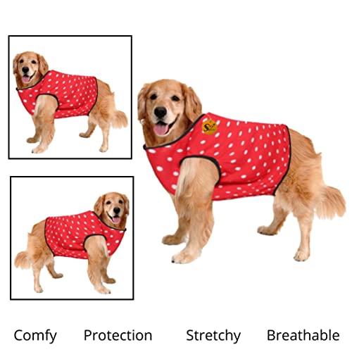 Image of Sage Square Crazy Printed Dog T-Shirt, Trending Dog T-Shirt, Ultra Soft & Light Weight, Comfortable & Breathable Dog Apparel, Trendy Outfit (Polka Red) (XXSmall - 10inch)