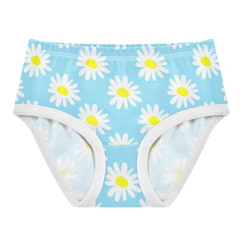 Cotton Girls Underwear Toddlers White Daisies Floral Light Blue Panties Little Girl Stylish Kids Briefs Undies 2t