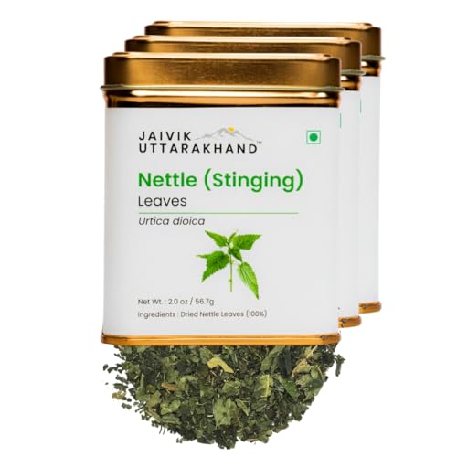 Image of Jaivik Uttarakhand - Nettle Leaf Tea (170.1 g), Dried Stinging Nettle Leaves, Helps Control Blood Sugar, Reduces Inflammation and Body Pain, Pack of 3 Tin Can