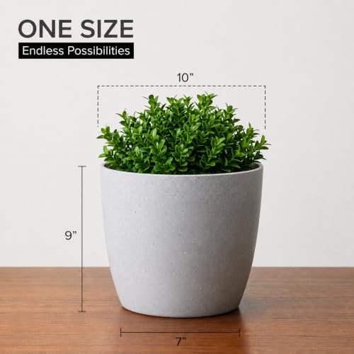 Image of YUCCABE ITALIA SHERA Stella 4 Inch Pack of 3 Piece Plastic Plant Pot for Home Decor Indoor Plant Pots for Living Room Plastic Flower Pot for Garden (Stone Grey, 10 INCH - 6 Pcs)