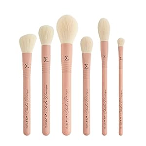 Sigma x Christen Dominique Brush Set