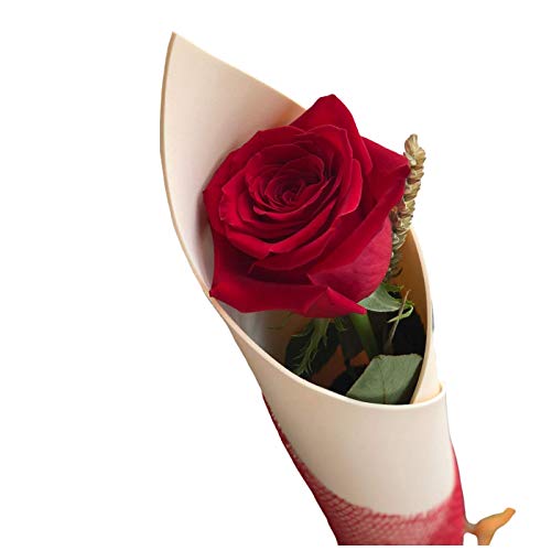 Botanic Dessign - Rosa roja de Sant Jordi ENTREGA EL DÍA DE...