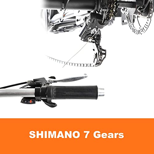 DWMEIGI 3 Wheel Electric Tricycle with 750W Motor, 20