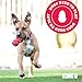 KONG Ring - Natural Rubber Ring Toy for Healthy Chewing Habits - Chew Toy Supports Dog Dental Health - Dog Toy Supports Instincts During Playtime - for Medium/Large Dogs