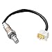 Delphi ES20210 Oxygen Sensor