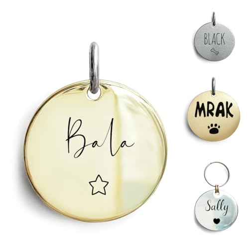 Etiquetas de identificação para cães de gatos, gravação personalizada, design mínimo, nome com símbolos fofos para coleira de animais de estimação, acessórios de cobre brilhante, texto personalizado, 4 linhas na parte de trás