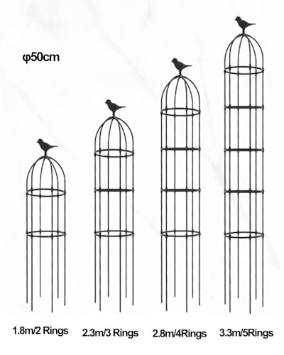 Treillis de jardin en métal pour plantes grimpantes fleurs vignes - 6