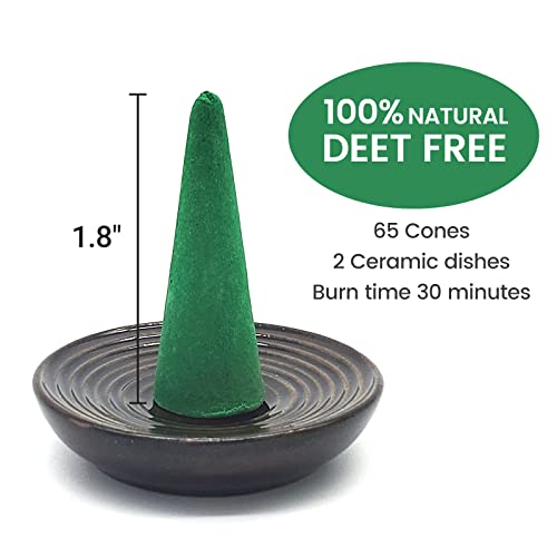 Rrtppt Citronella Incense Cones With 2 Ceramic Dishes | Made With Plant-Based Ingredients | Citronella Oil | Lemongrass Oil | Rosemary Oil | Suitable For Indoor And Outdoor Use (65 Cones) #TOP2