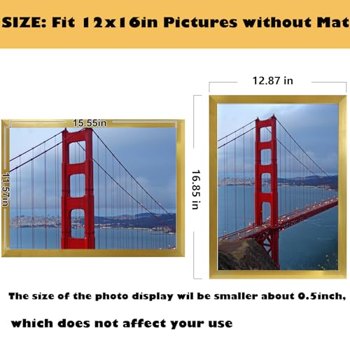 Image of BESCRCL 12x16 Frame Wall Hanging Picture Frames, Gold, 1 Pack
