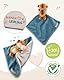 NICI Schmusetuch Baby 22 x 22 cm mit Kuscheltier Tiger - Flauschiges Schnuffeltuch für Mädchen & Jungen, Baby Geschenk zur Geburt, Mit gesticktem Schriftzug Kleiner Liebling - 49750