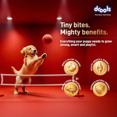 Image of Drools Puppy Dry Dog Food 2.8kg + 1kg | Meat and Milk Flavour | Supports Healthy Brain Development and Cognitive Function | Antioxidants | Chelated Minerals | Better Bioavailability of Minerals
