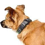 Hunter Halsband Maldon, Farbe: Oliv, atmungsaktives Mesh, Robustes Nylon, lautlos & allergikerfreundlich, Zugentlastung, integriertes Adresslabel, besonders leicht, Größe: S