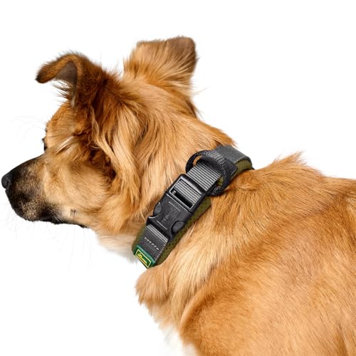 Hunter Halsband Maldon, Farbe: Oliv, atmungsaktives Mesh, Robustes Nylon, lautlos & allergikerfreundlich, Zugentlastung, integriertes Adresslabel, besonders leicht, Größe: S
