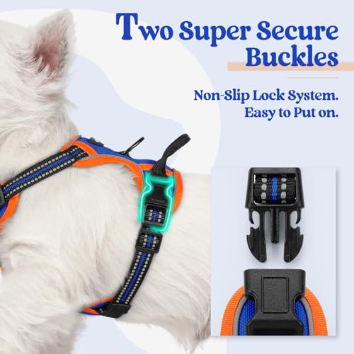 Image of rabbitgoo Dog Harness No Pull with 2 Leash Clips, Adjustable Soft Padded, Reflective Oxford No Choke Pet Vest with Easy Control Handle for Puppy, Blue & Orange, XS