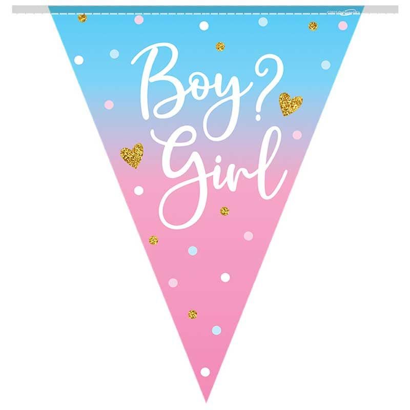 Gender Reveal Boy Or Girl Party Bunting Flag Baby Shower Party Banner Flag Bunting, Blue, Various