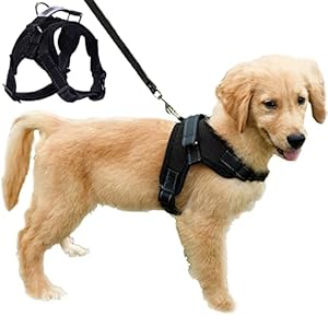 Dog Harness Comfort Soft Breathable Adjustable Mesh Pet Chest Strap Large Dog Harness Vest Collar Hand Strap (M, Black)