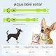 YFbrite Leuchtende Hundehalsbänder, USB-aufladbares LED-Hundehalsband, verstellbares LED-Katzenhalsband, langlebiges Blinkhalsband für Katzen, Welpen, kleine, mittelgroße und große Hunde (Grün, XS)