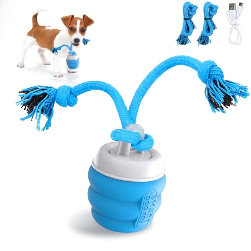 Interaktives Hundespielzeug, Interaktiver Spielball für Hunde，Zauberball Hund, Elektrischer Spielball mit Schwanz, Reduziert Langeweile & Stress, für kleine/mittlere Hunde, Weihnachtsspielzeug(Blau)