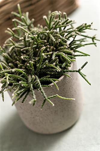 INNA-Glas Maceta de cerámica Araya, Moteado, Verde, 13cm, Ø13cm - Jardinera de cerámica