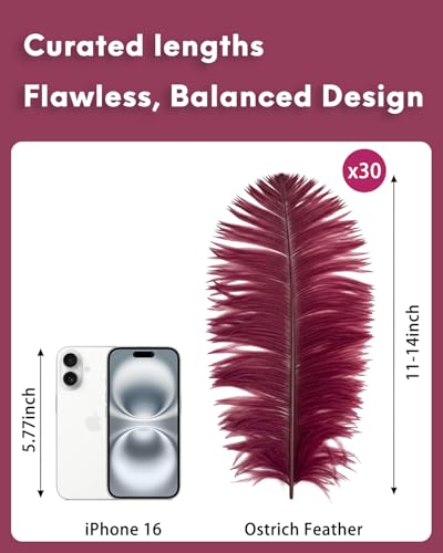 image for NEWONG 30pcs Wine red Ostrich Feathers Natural Bulk 11-14inch(28-35cm)